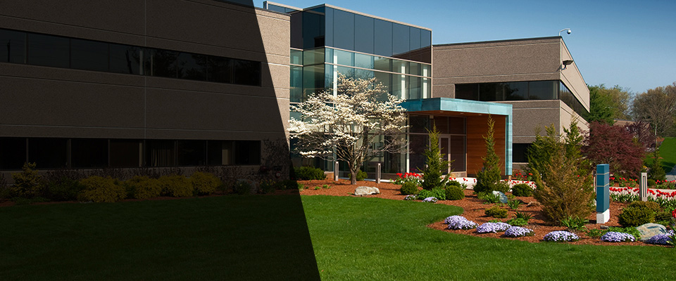 Markham Landscapers