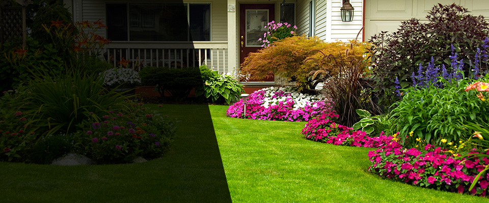 Markham Landscapers