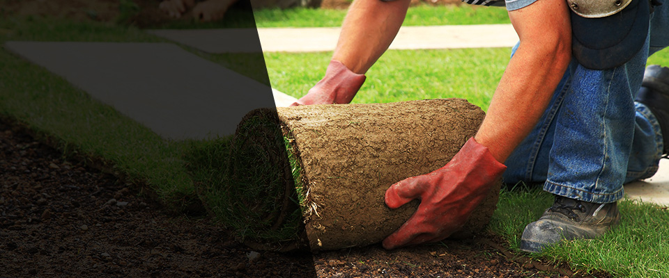 Markham Landscapers